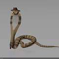 Anthropomorphic Snake Character With Striped Body Wearing Brown Hat Design