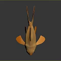 Orange Goldfish With Shiny Scales And Flowing Fins On Black Surface