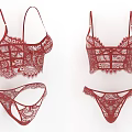 Women's Red Lace Underwear Set With Delicate Lace Design And Matching Bras And Panties