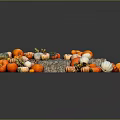 Colorful Pumpkins Pile On A Stone With Various Sizes And Natural Shapes