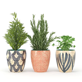 potted plant 3d model