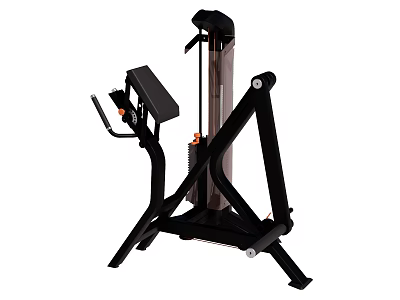 Professional Gym Sports Equipment With Black Metal Frame And Seat For Strength Training 3d model