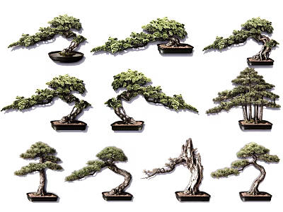 Various Bonsai Plants With Artistic Shapes And Decorative Bases For Indoor Decor 3d model