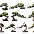 Various Bonsai Plants With Artistic Shapes And Decorative Bases For Indoor Decor