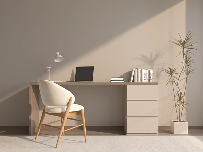 Modern Study Room With Wooden Desk Laptop Books White Chair Drawer Cabinet And Potted Plant 3d model