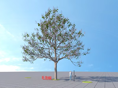 Tall Paulownia Tree with Green Leaves and Purple Flowers in Open Ground Under Blue Sky 3d model