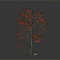 Vibrant Red Leaf Tree With Small Green Plants And Fallen Red Leaves 3d model