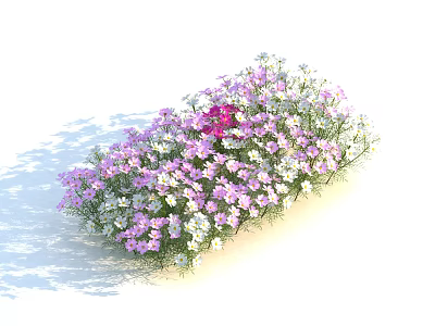 Pink And White Blooming Flowers In A Lush Cluster With Gentle Shadows And Vibrant Petals 3d model
