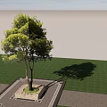 Lush Green Arbor With Dual Trunks And Fresh Foliage On Stone Base