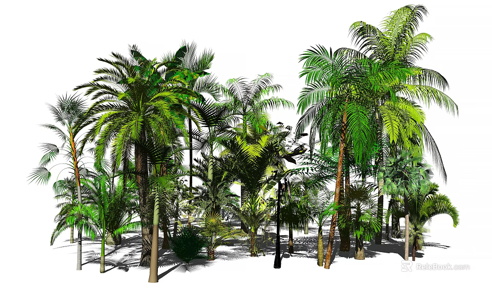 Tropical Palm Trees With Lush Green Leaves And Tall Trunks In Natural Setting 3d model 