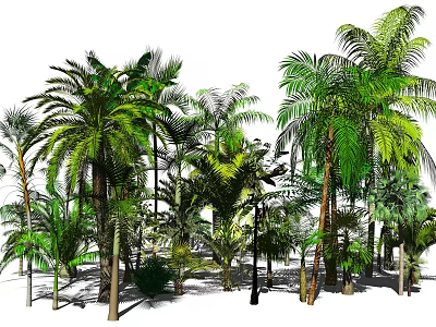 Tropical Palm Trees With Lush Green Leaves And Tall Trunks In Natural Setting 3d model