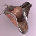 Modern Hat Pirate Hat 3d model