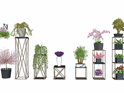 Diverse Bonsai Potted Plants With Metal Stands And Colorful Flowers For Indoor Decor 3d model