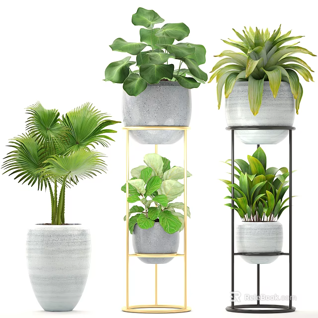 Varied Indoor Bonsai Potted Plants in White Grey Pots on Metal Stands 3d model 