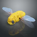 Yellow Fuzzy Insect With Transparent Wings Black Eyes And Reflection On Dark Surface