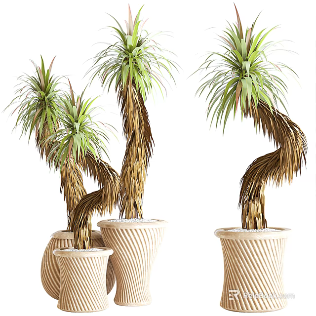 Elegant Bonsai Potted Plants With Curved Trunks Green Leaves And Beige Striped Pots 3d model 