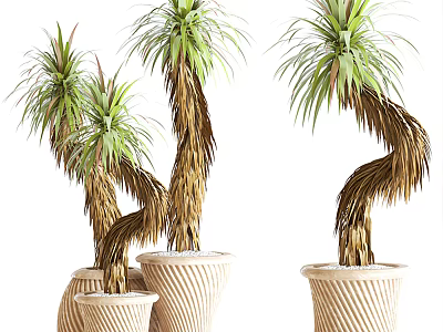 Elegant Bonsai Potted Plants With Curved Trunks Green Leaves And Beige Striped Pots 3d model