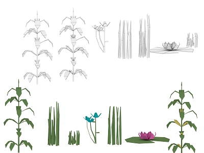 Diverse Plant Illustrations of Corn Reeds and Lotus with Foliage and Flower Details 3d model