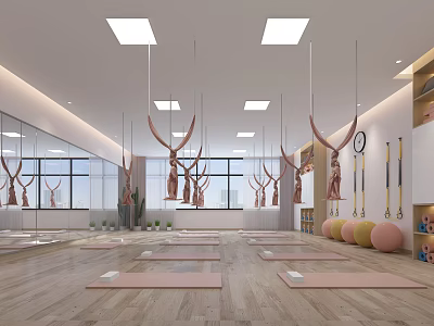 Modern Yoga Workout Space With Aerial Hammocks Yoga Mats Mirrors And Exercise Balls 3d model
