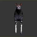 Okapi Wildlife Animal With Reddish Brown Body And Black White Striped Legs