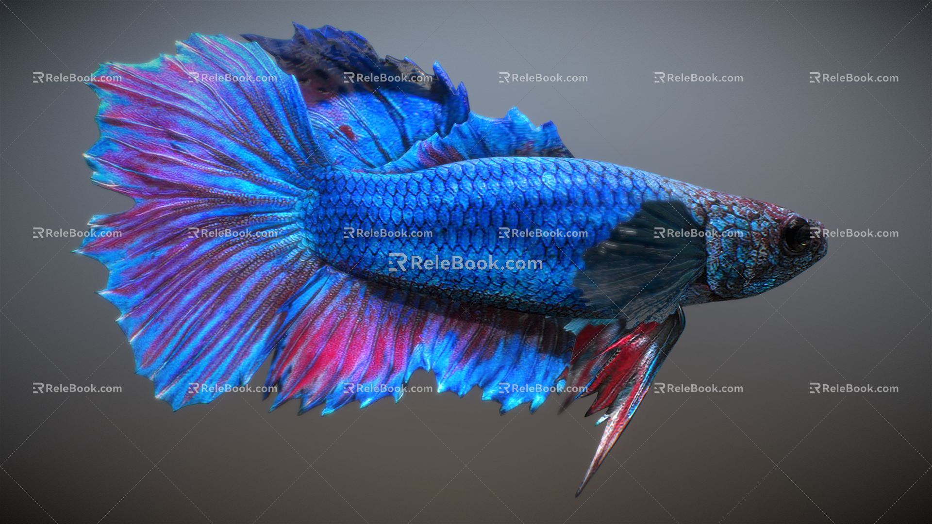 Modern Fish 3d model