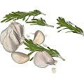 Fresh Garlic Bulbs and Green Rosemary Sprigs for Organic Cooking Ingredients