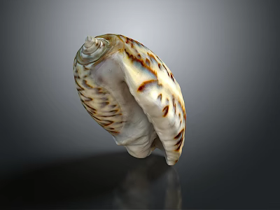 Human Skin Organ And Hair Close Up View With Natural Texture Details 3d model