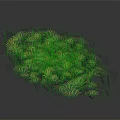 Lush Green Grass Cluster With Vibrant Foliage And Natural Texture