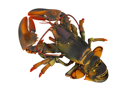 Vibrant Red Lobster With Large Claws Dark Shell And Natural Aquatic Traits 3d model