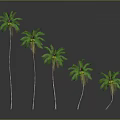 Five Palm Trees with Different Heights Standing in a Row Against Gray Backdrop