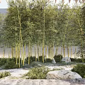 Dry Landscape 3d model