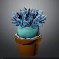 Crystal Like Blue Succulent Plant In Orange Terracotta Pot With White Base
