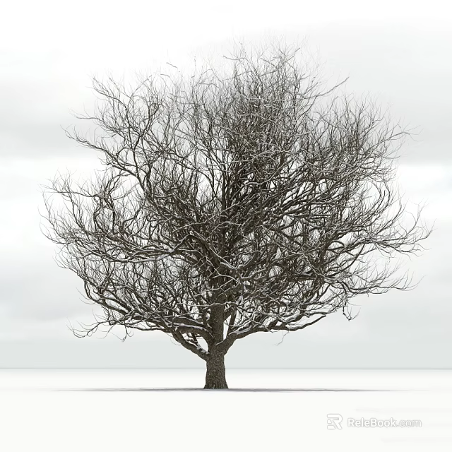 Leafless Tree with Snow Covered Branches Against Winter Sky on Snowy Ground 3d model 