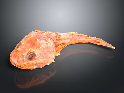 Reddish Orange Anglerfish with Textured Skin Long Tail on Black Reflective Background 3d model