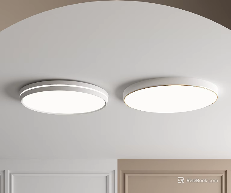 Two White Round Ceiling Mounted Lights For Modern Interior Bright Lighting 3d model