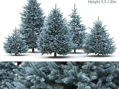 Christmas Tree Decorative Ornament Set With Different Heights 4.5 To 1.8m And Realistic Pine Branches 3d model