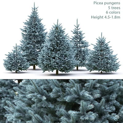 Christmas Tree Decorative Ornament Set With Different Heights 4.5 To 1.8m And Realistic Pine Branches 3d model