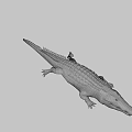 Detailed Realistic Crocodile 3D Model With Open Mouth And Textured Skin