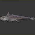 Unique Pinkish Purple Fish 3D Model With Large Eyes And Fins