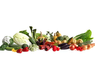 Fresh Assorted Vegetables with Colorful Cabbage Carrots Bell Peppers Zucchini and Tomatoes 3d model