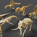 3D Skeleton Models Collection Featuring Dinosaur Mammoth And Human Fossil Replicas 3d model