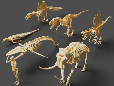 3D Skeleton Models Collection Featuring Dinosaur Mammoth And Human Fossil Replicas 3d model