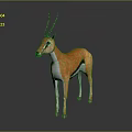 Orange And White Antelope Standing With Black Horns On Dark Background