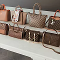 Trendy Brown Leather Handbags Various Styles Checkered Patterns Silk Scarf And Rivet Decor Details
