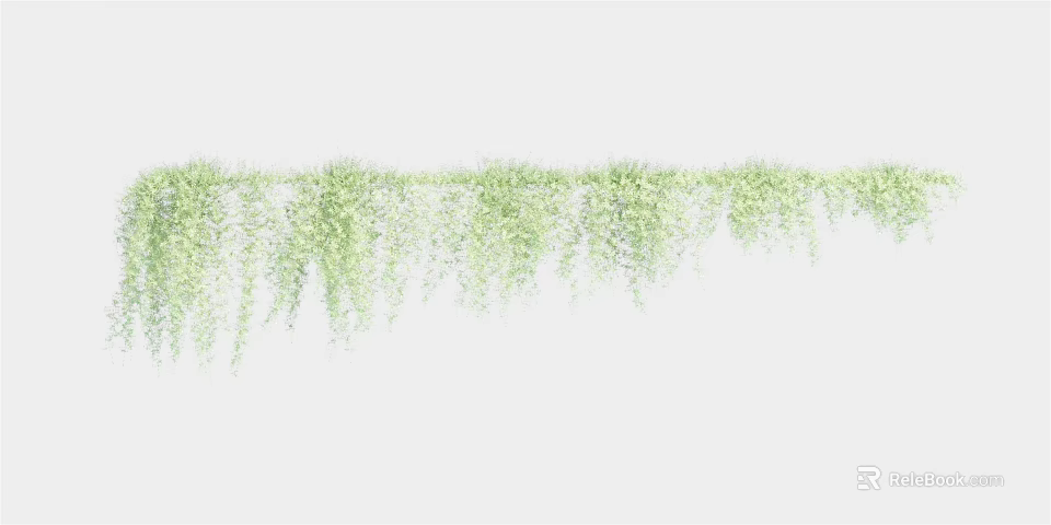 Green Hanging Vines with Lush Leaves for Decorative Display on White Background 3d model 