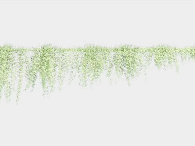 Green Hanging Vines with Lush Leaves for Decorative Display on White Background 3d model