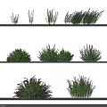 Different Types of Green and Purple Plants Arranged Beautifully on White Shelves