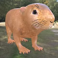Brown Reptile With Whiskers And Sharp Claws In Grassy Field Habitat