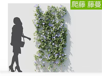 Lush Decorative Vine with Purple Flowers Climbing Wall Near Woman Silhouette 3d model