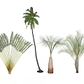 Modern Tree Landscape Tree 3d model